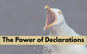 The Power of Declarations